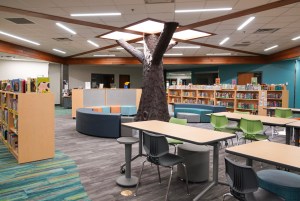 Otterlake Elementary Beam